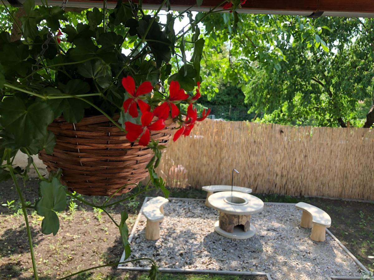 Mormota Vendégház Mezőkövesd Exterior foto